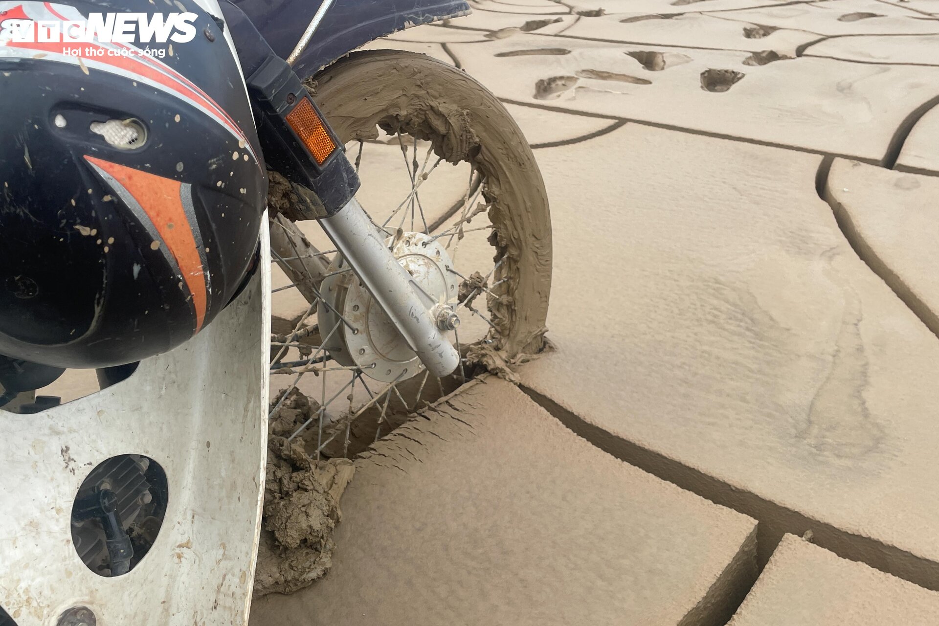 Bùn đất ngập ngụa, 'thủ phủ' phật thủ hàng trăm ha biến thành củi khô - Ảnh 12