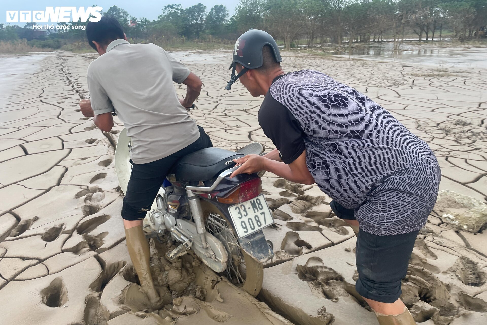 Bùn đất ngập ngụa, 'thủ phủ' phật thủ hàng trăm ha biến thành củi khô - Ảnh 13