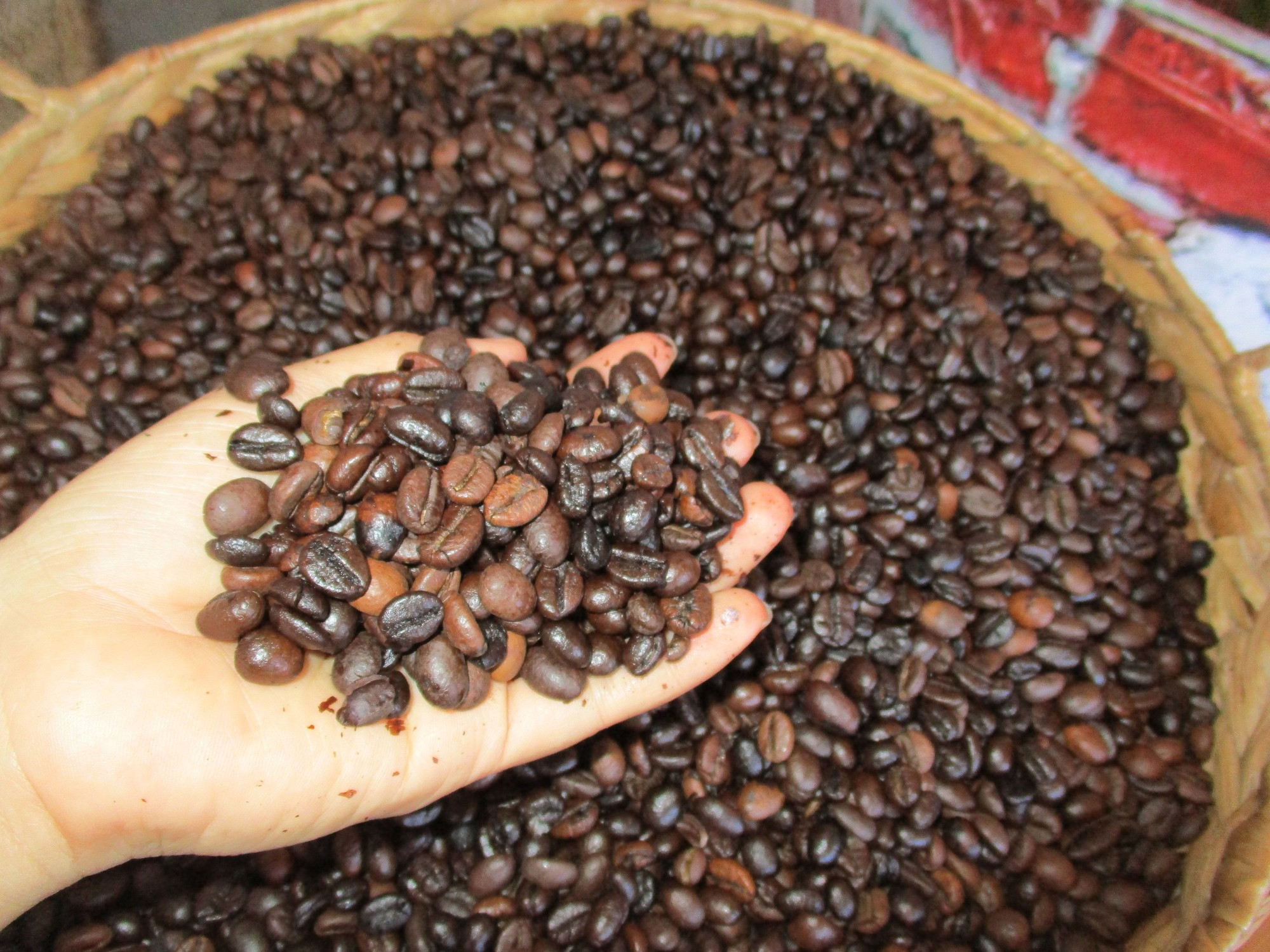 Giá cà phê Robusta lại lập kỷ lục - Ảnh 1