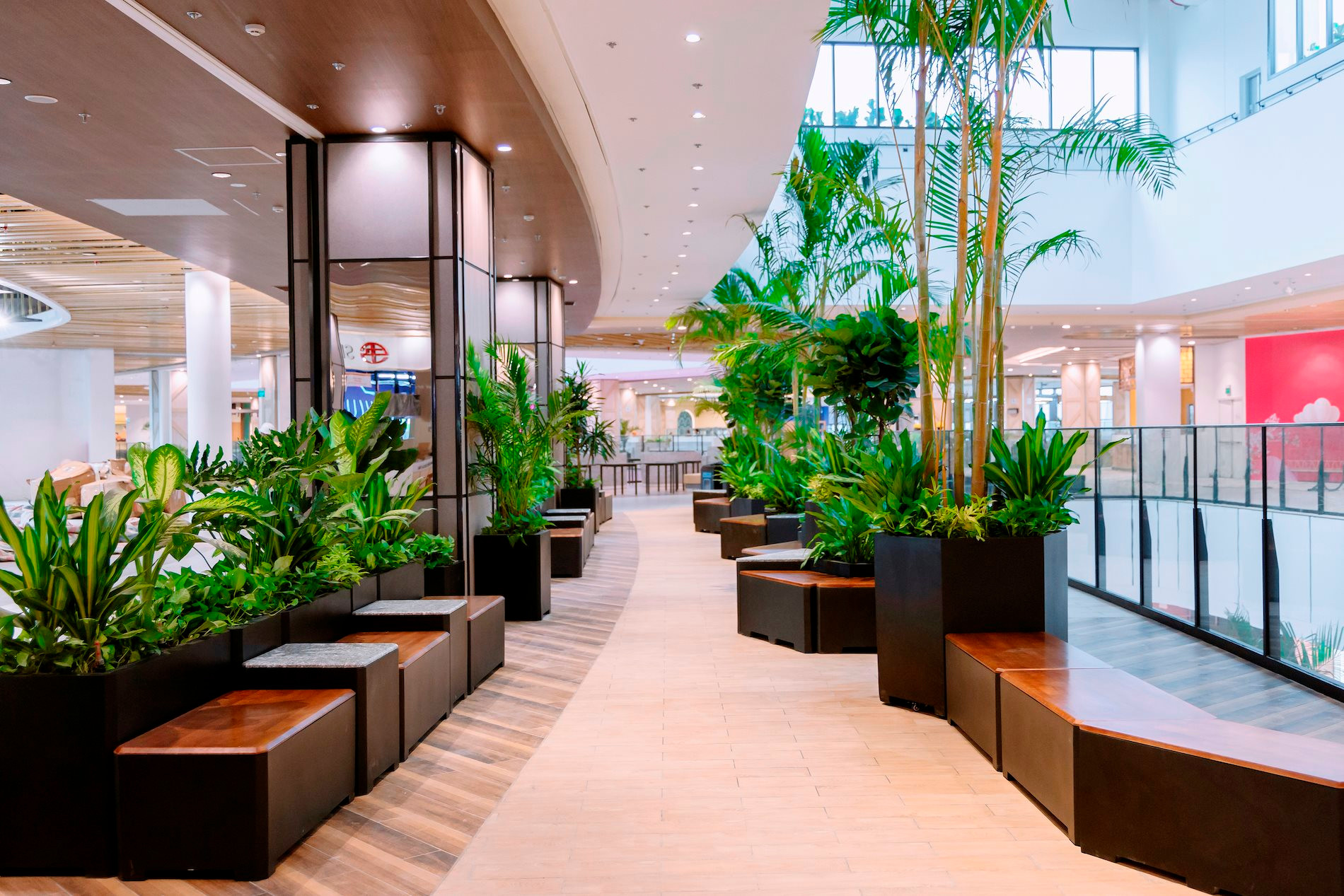 Aeon Mall đầu tiên ở miền Trung chính thức đi vào hoạt động - Ảnh 4