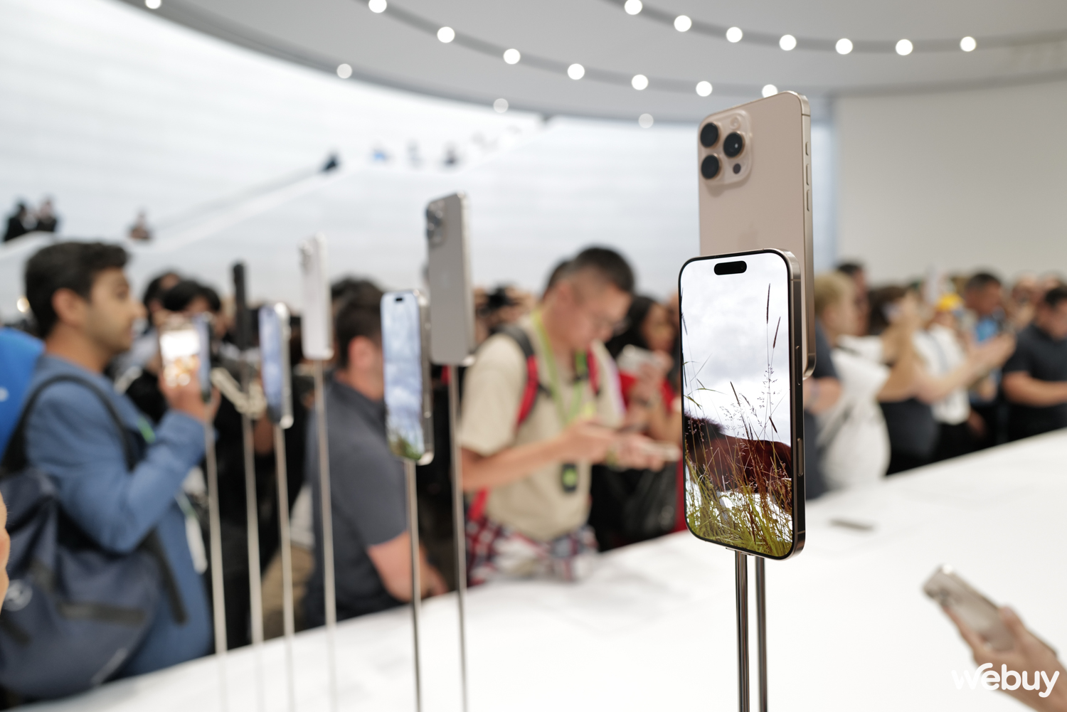 Cận cảnh iPhone 16 Pro Max "Vàng sa mạc": Nếu muốn cả thế giới biết mình dùng iPhone mới nhất, hãy lựa chọn màu này - Ảnh 1