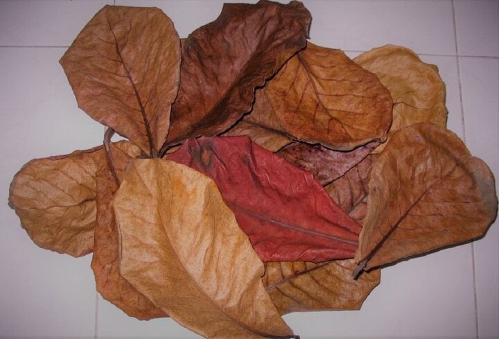 Những món đồ kỳ lạ được rao bán trên sàn thương mại điện tử tại Việt Nam - Ảnh 1