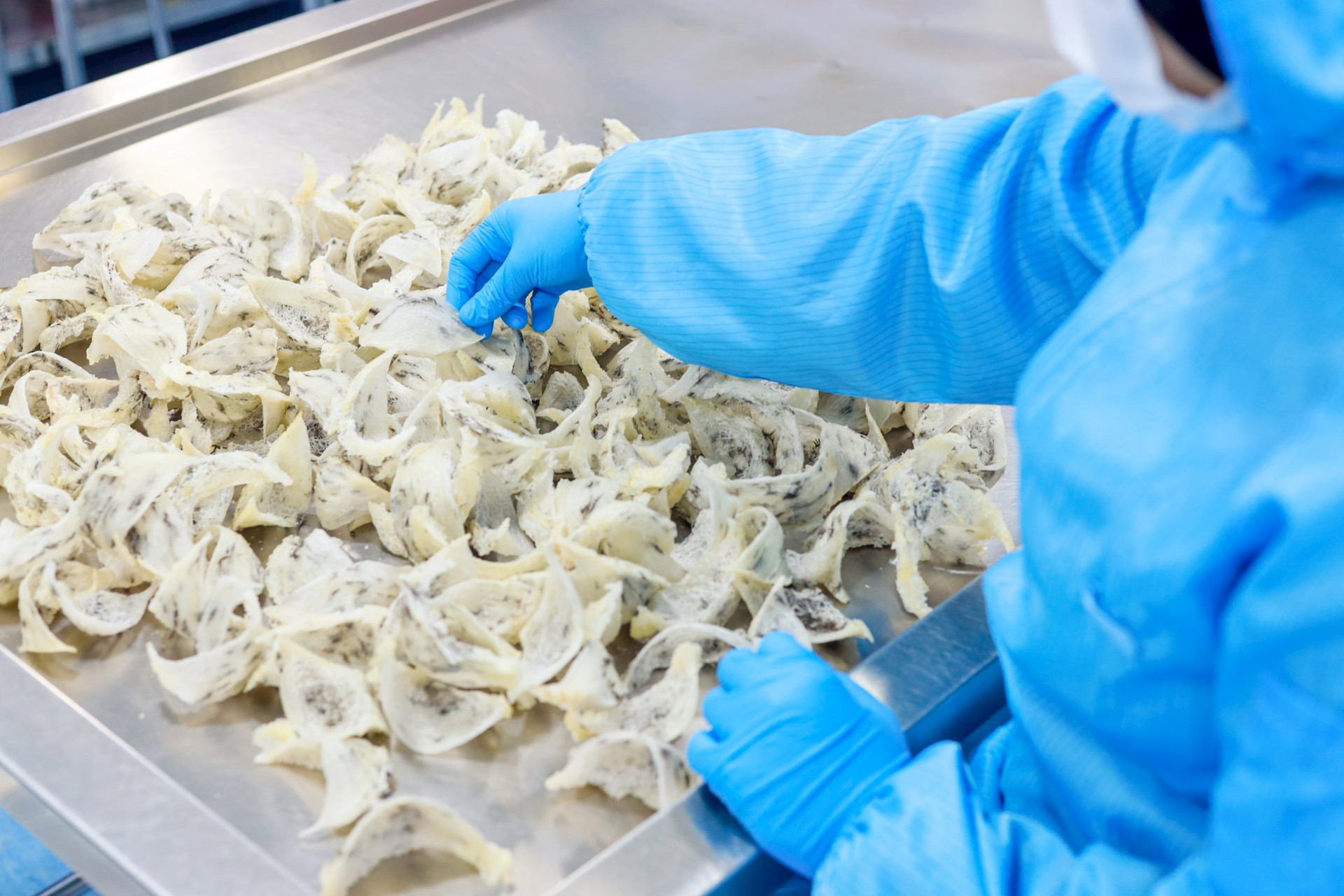 Trung Quốc chi 8 tỷ USD/năm mua 1 mặt hàng, chỉ nhập chính ngạch từ 4 nước, trong đó có Việt Nam - Ảnh 2