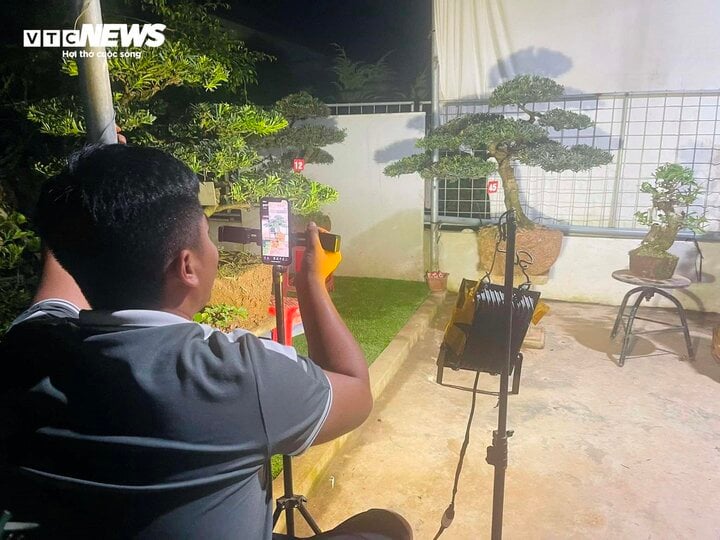 Nông dân thời 4.0: Livestream bán cây cảnh hàng ngày, đua hốt bạc mỗi tháng - Ảnh 1