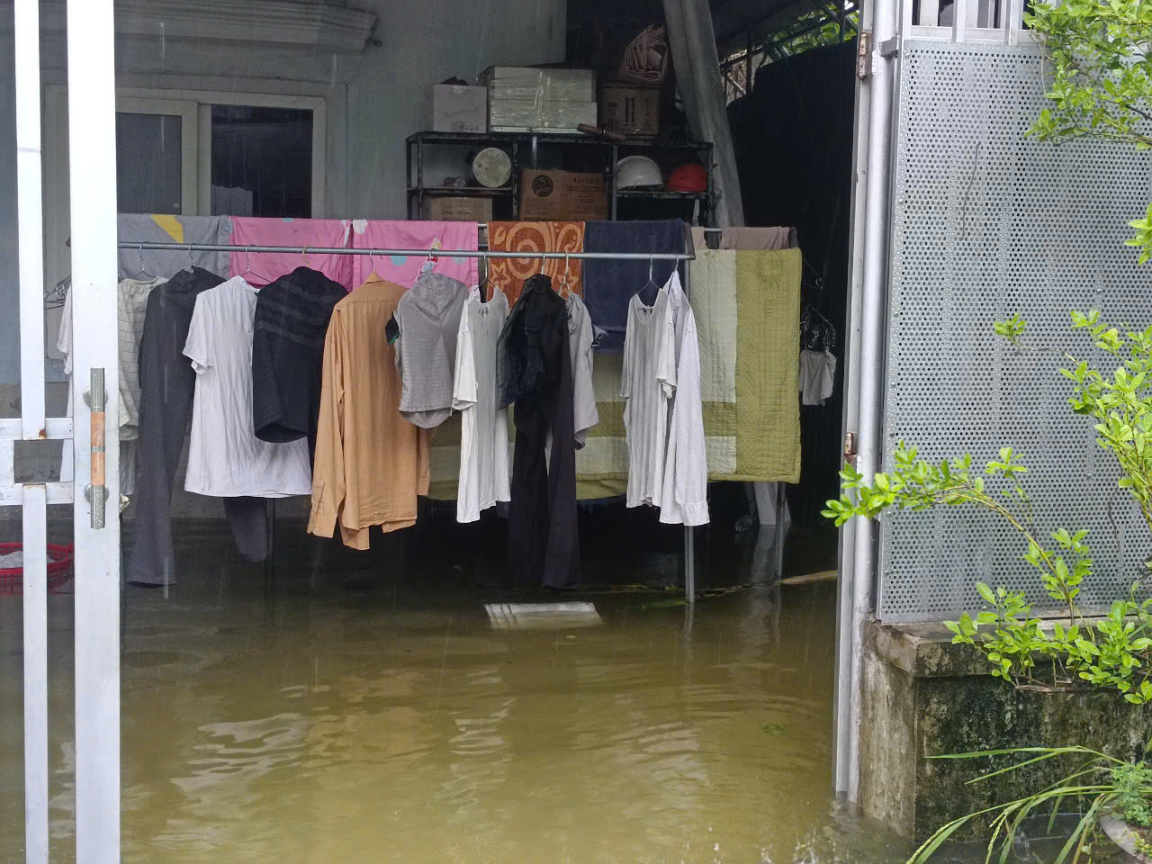 VIDEO: Mưa lớn, hơn 9.000 con gà của một hộ dân chết ngạt - Ảnh 4