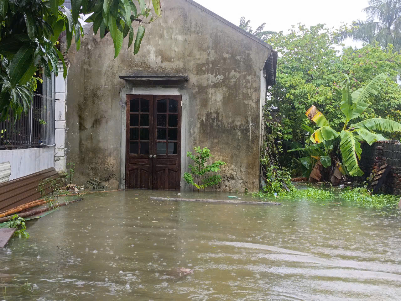 VIDEO: Mưa lớn, hơn 9.000 con gà của một hộ dân chết ngạt - Ảnh 6