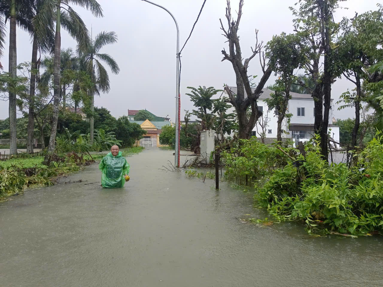 VIDEO: Mưa lớn, hơn 9.000 con gà của một hộ dân chết ngạt - Ảnh 3