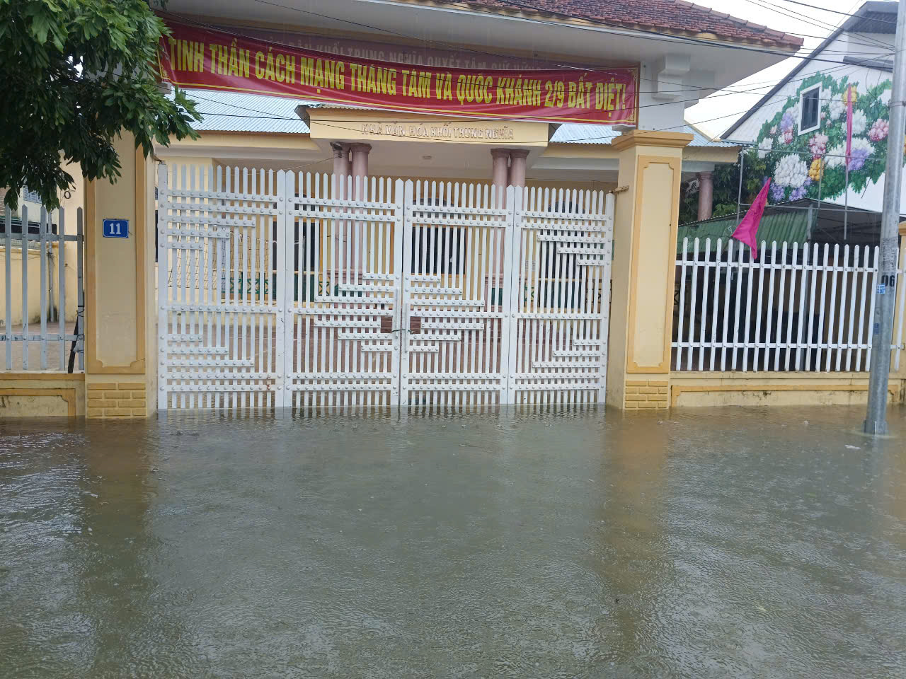 VIDEO: Mưa lớn, hơn 9.000 con gà của một hộ dân chết ngạt - Ảnh 7