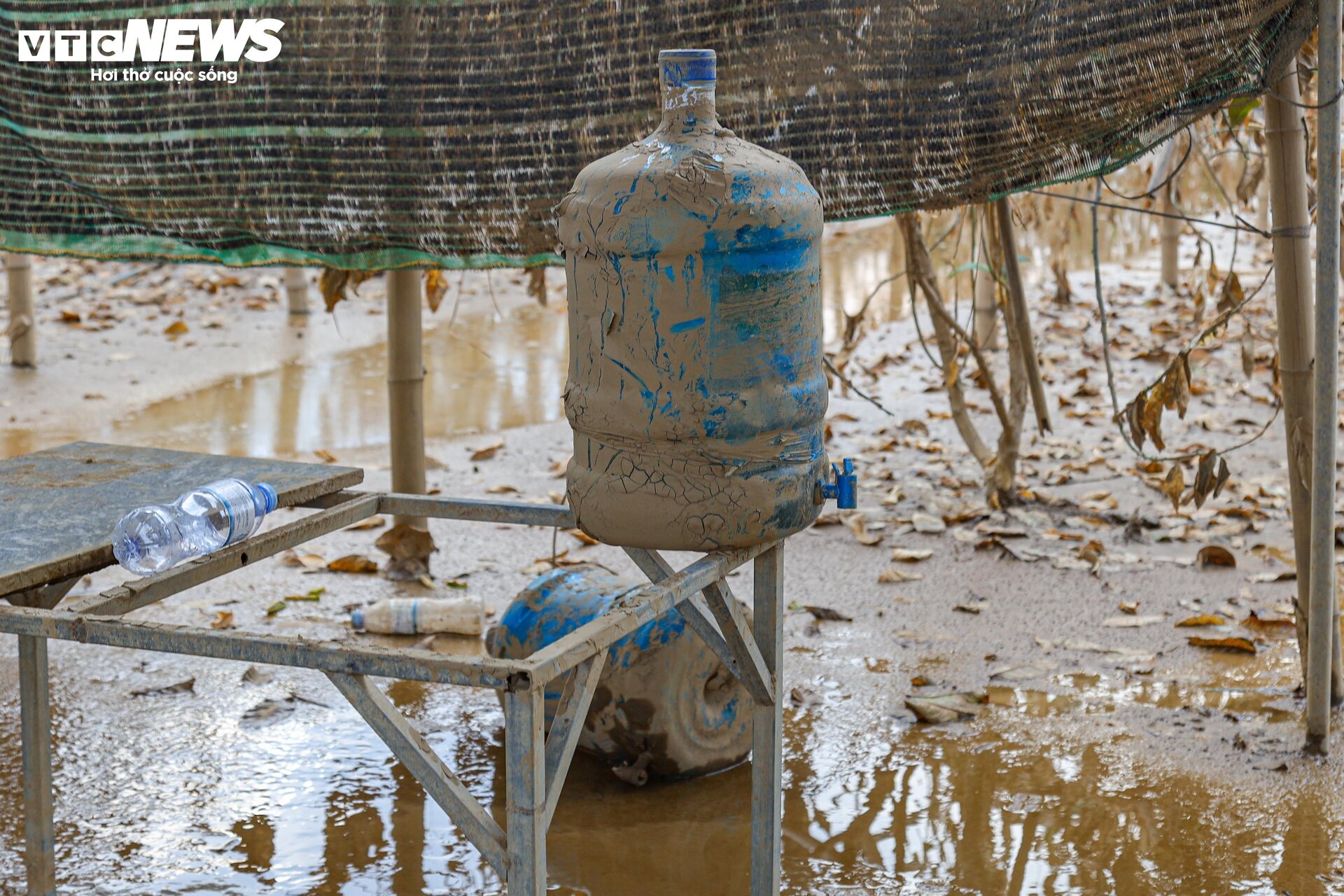 Bùn đất ngập ngụa, 'thủ phủ' phật thủ hàng trăm ha biến thành củi khô - Ảnh 10