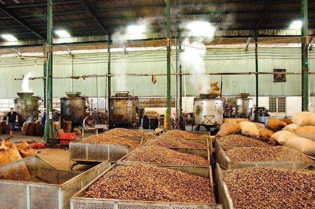 Không phải gạo, loại 'hạt vàng' này của Việt Nam được gần 1/2 thế giới chốt đơn: Mỹ, Trung Quốc mạnh tay săn lùng, giá lên đỉnh từ đầu năm - Ảnh 1