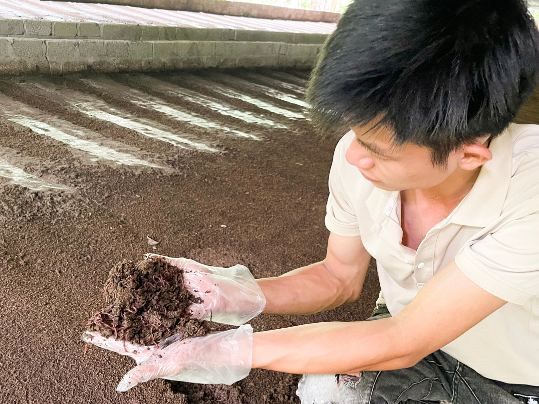 Nuôi con vật tận dụng cả thịt lẫn chất thải, anh nông dân thu 5 tỷ đồng/năm rất nhẹ nhàng - Ảnh 2