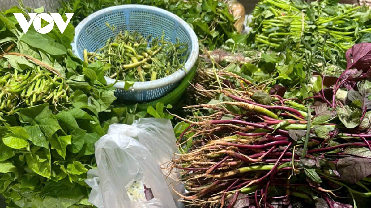 Dù giá tăng chóng mặt, thực phẩm, rau xanh tại nhiều siêu thị không còn để bán - Ảnh 1