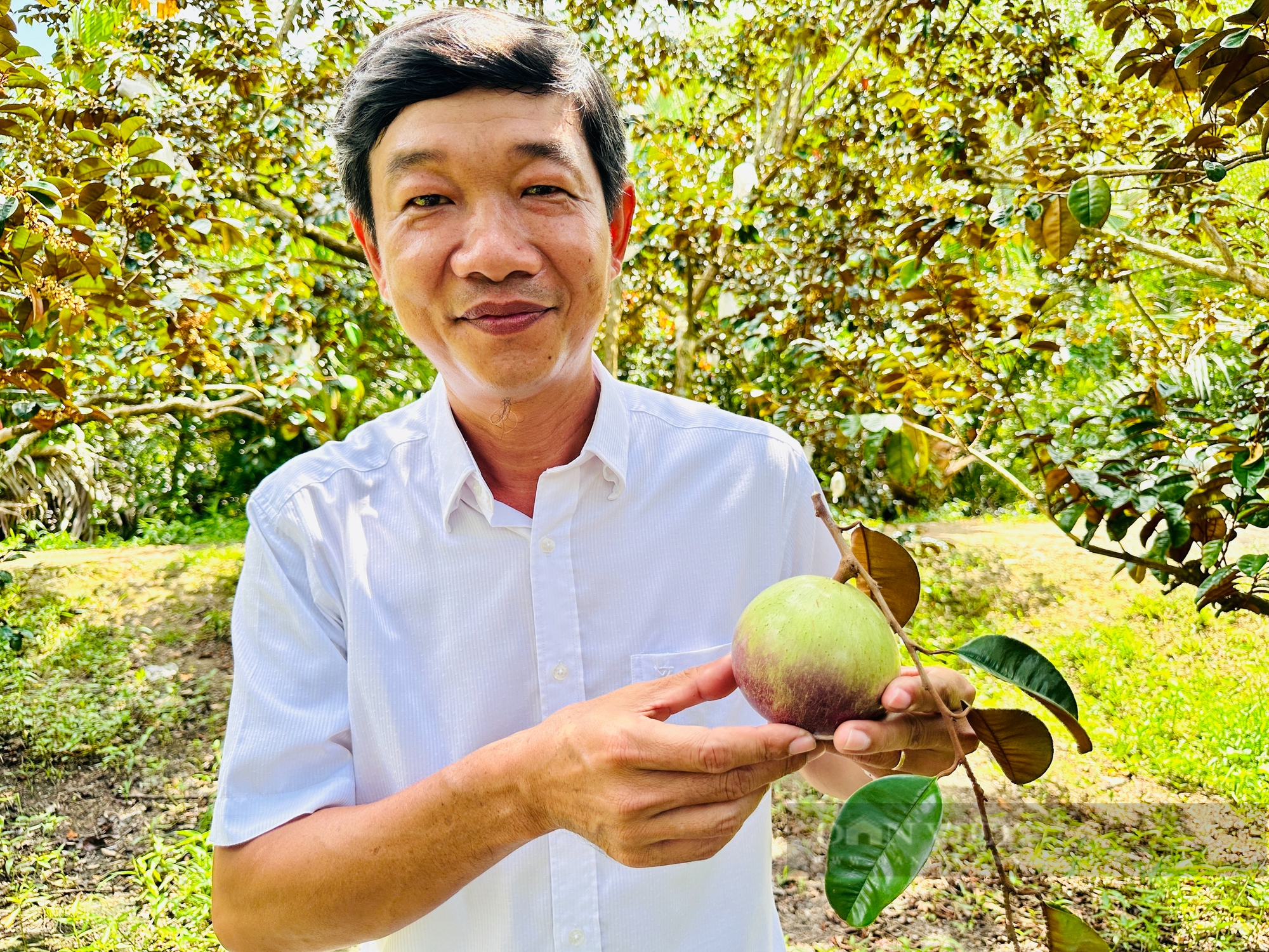 Ông nông dân trồng loại quả "đột biến", thu 3,5 tỷ đồng/năm rất nhẹ nhàng - Ảnh 3