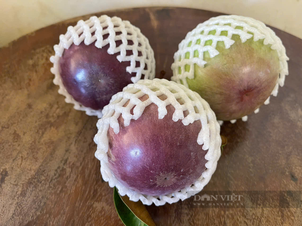 Ông nông dân trồng loại quả "đột biến", thu 3,5 tỷ đồng/năm rất nhẹ nhàng - Ảnh 2