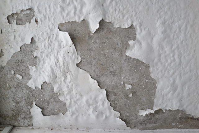 Giải pháp chống thấm toàn diện cho mọi công trình - Ảnh 2