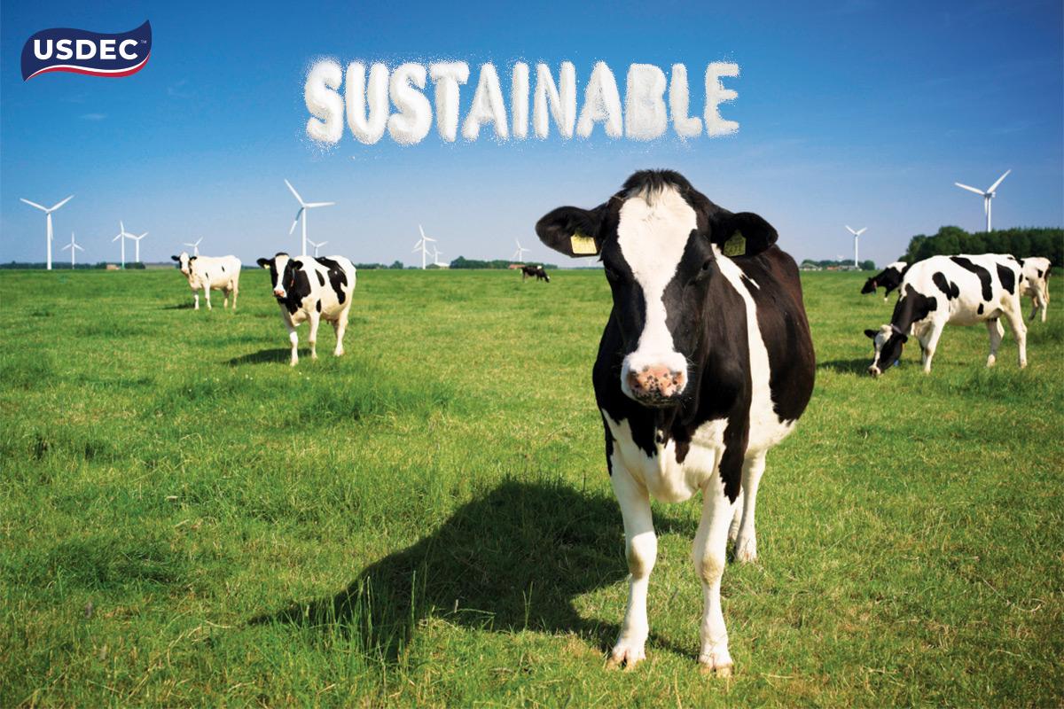 Khám phá tiềm năng vượt trội của nguyên liệu sữa Hoa Kỳ tại Fi Vietnam 2024 - Ảnh 2