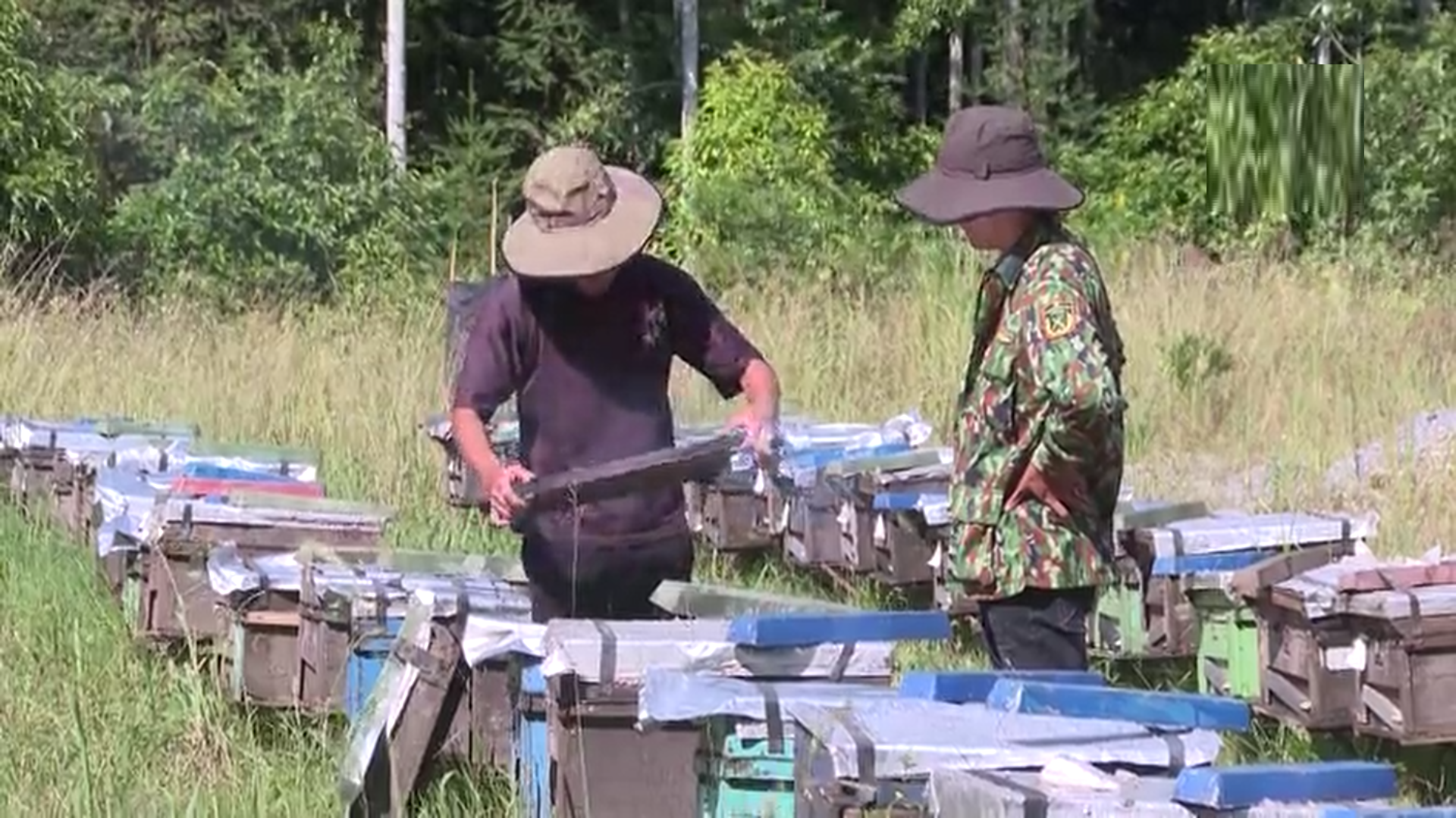 Anh nông dân nuôi con "cần cù", nhẹ nhàng thu hàng trăm triệu mỗi năm - Ảnh 1