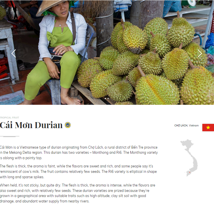 "Bản đồ ẩm thực thế giới" vinh danh sầu riêng Bến Tre và nhiều trái cây nức tiếng của Việt Nam - Ảnh 1