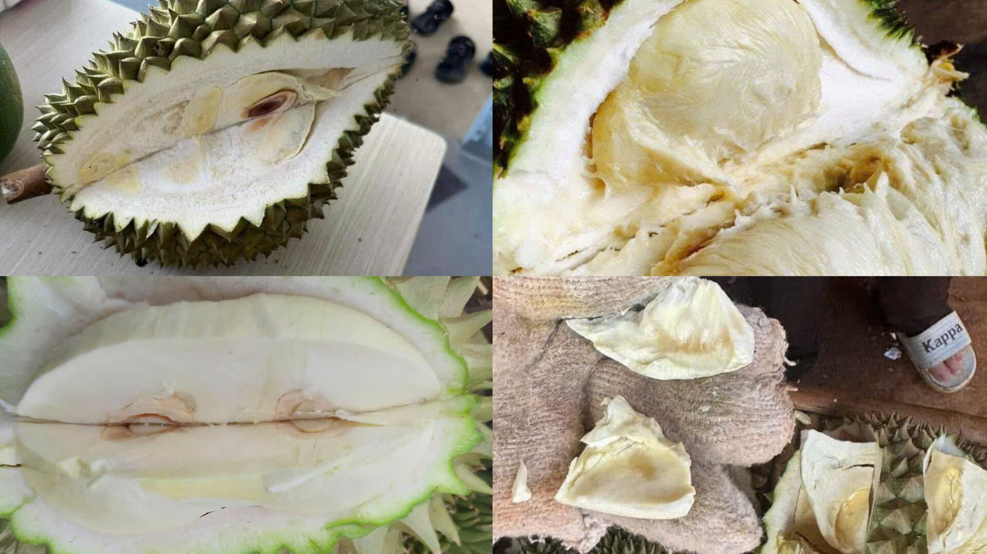 Mưa nắng thất thường, người trồng sầu riêng rớt nước mắt - Ảnh 2