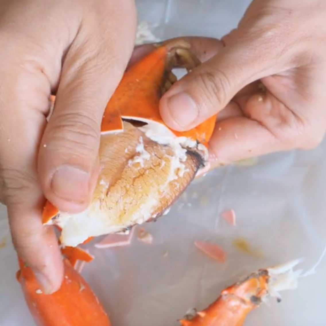 Khoai Lang Thang khiến dân tình "nghi ngờ" khi nói cua biển châu Phi 65k/kg mà ngon như cua Cà Mau - Ảnh 9