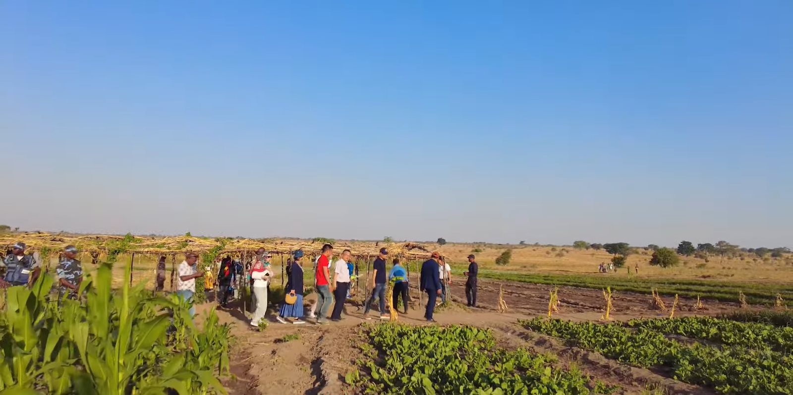 Đại sứ Việt Nam tại Angola đến thăm team Quang Linh châu Phi, ông nói một câu làm ai nấy đều xúc động - Ảnh 4