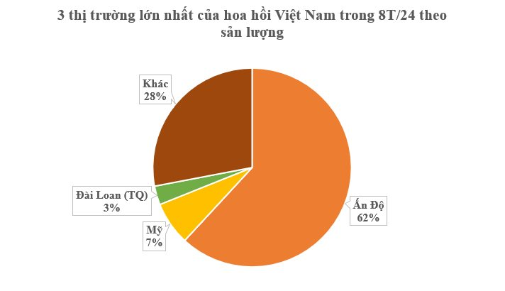 Loại cây lấy hoa cực hiếm trên thế giới nhưng Việt Nam sở hữu hàng chục nghìn ha: Thu về gần 50 triệu USD kể từ đầu năm, sản lượng đứng thứ 2 thế giới - Ảnh 2