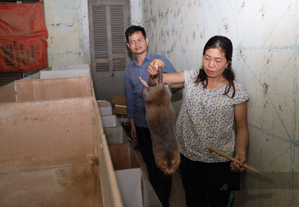 Nuôi con đặc sản "hiền như đất", chị nông dân lãi hàng tỷ đồng/năm - Ảnh 1