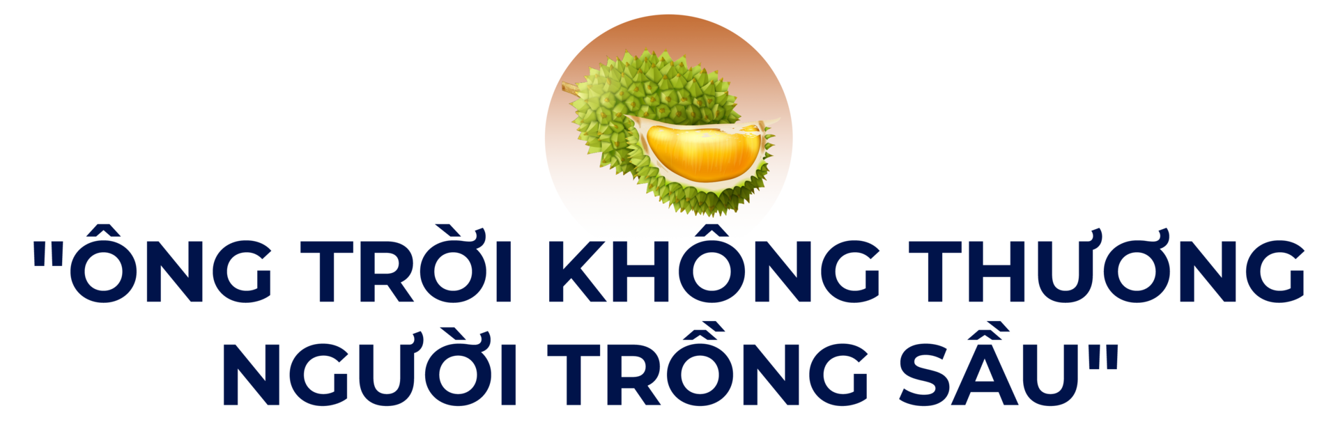 Mưa nắng thất thường, người trồng sầu riêng rớt nước mắt - Ảnh 1