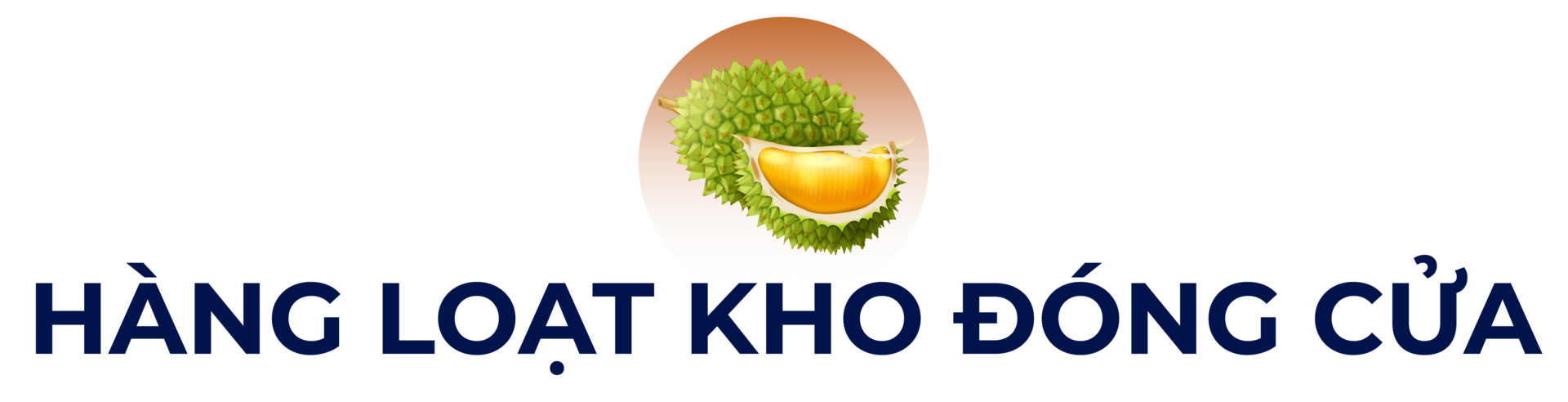 Mưa nắng thất thường, người trồng sầu riêng rớt nước mắt - Ảnh 5
