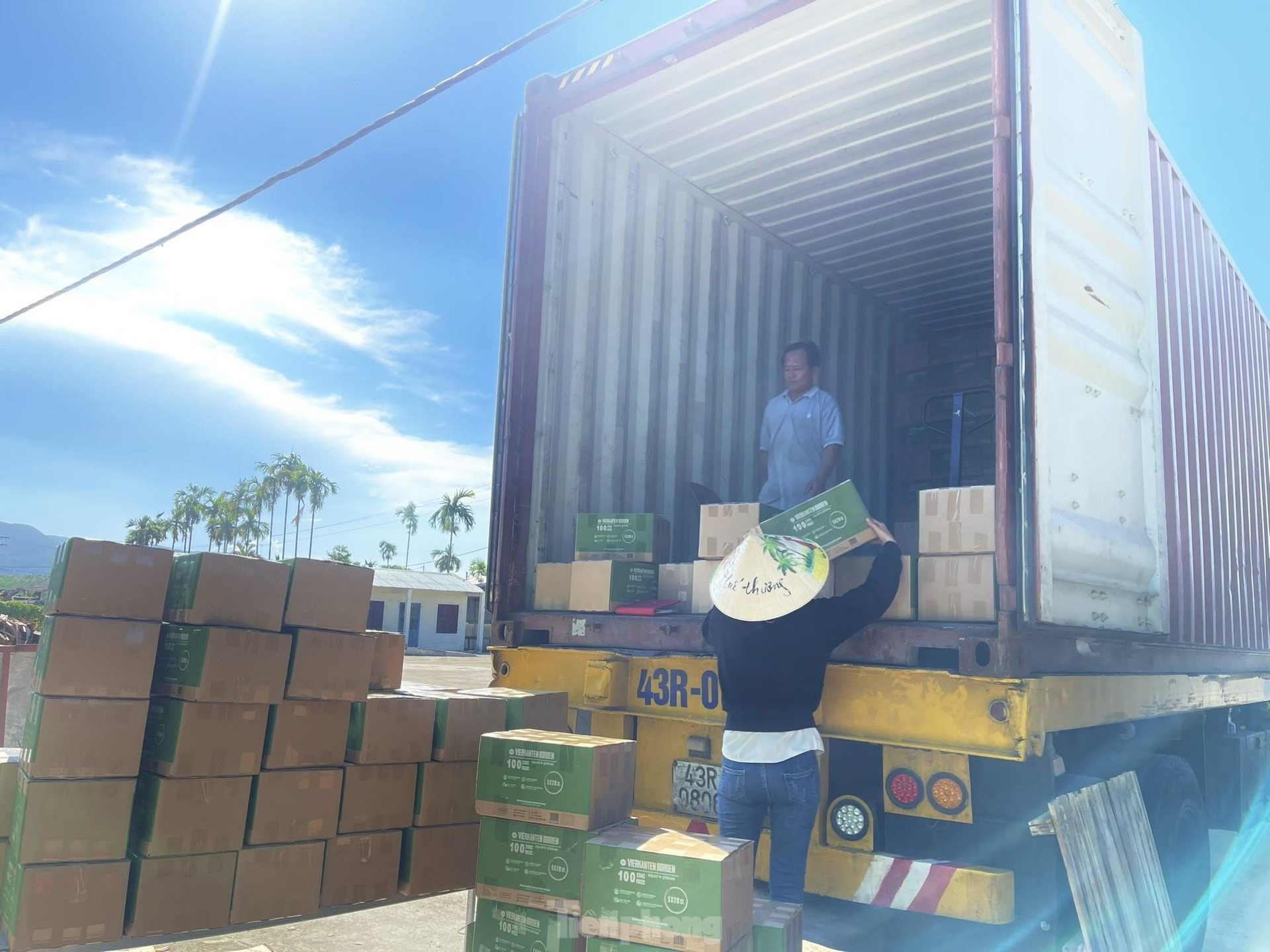 Bán chén đĩa từ mo cau: Thu nhập hàng trăm triệu mỗi tháng - Ảnh 8