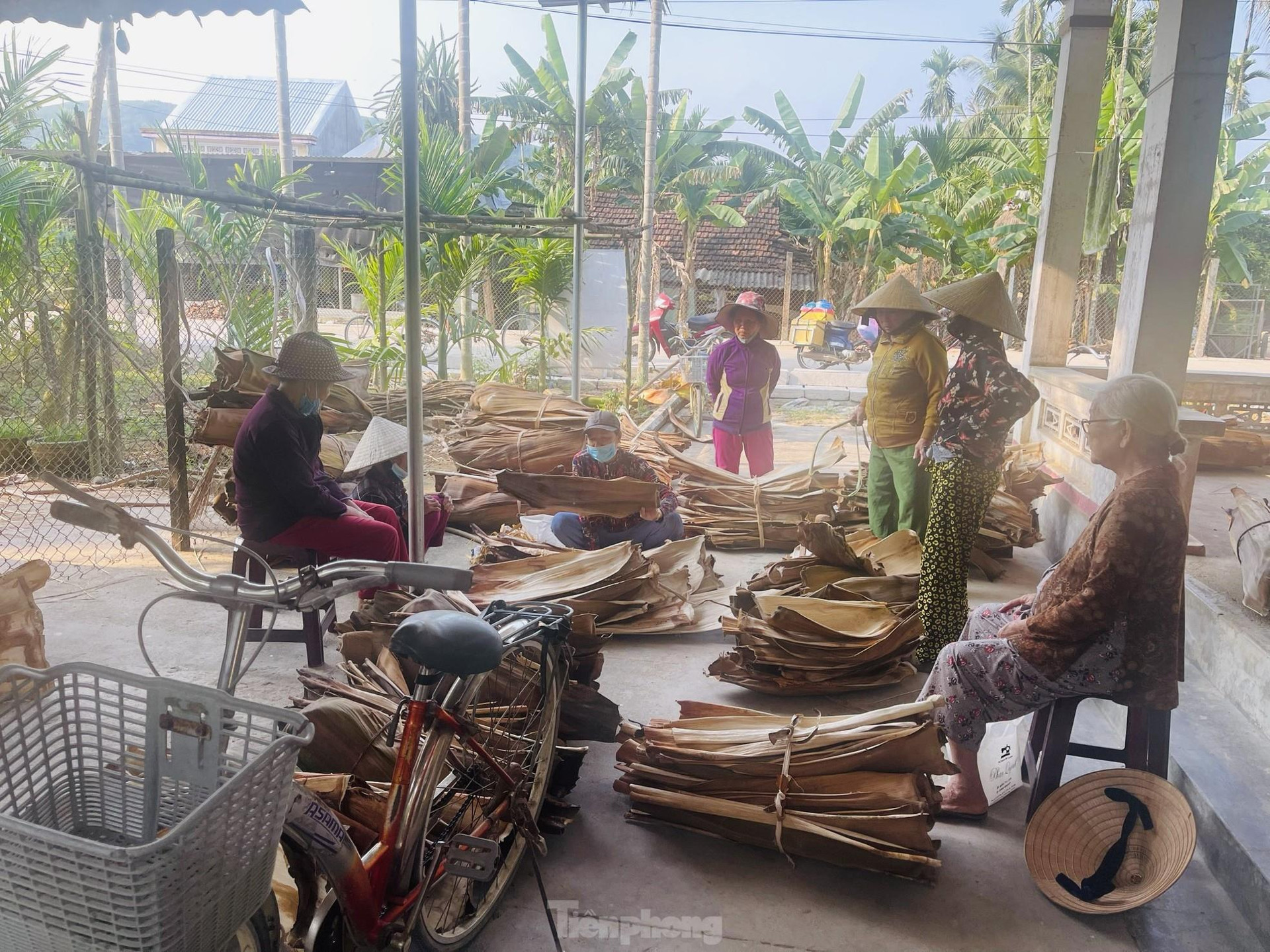 Bán chén đĩa từ mo cau: Thu nhập hàng trăm triệu mỗi tháng - Ảnh 2