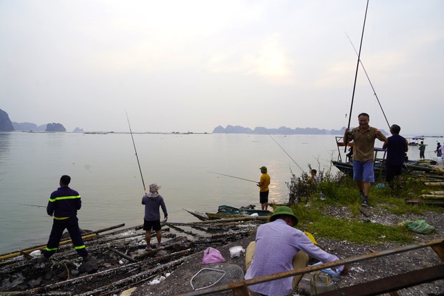 Nghề 'hot' sau bão ở Hạ Long, ngồi chơi cũng kiếm tiền triệu - Ảnh 3