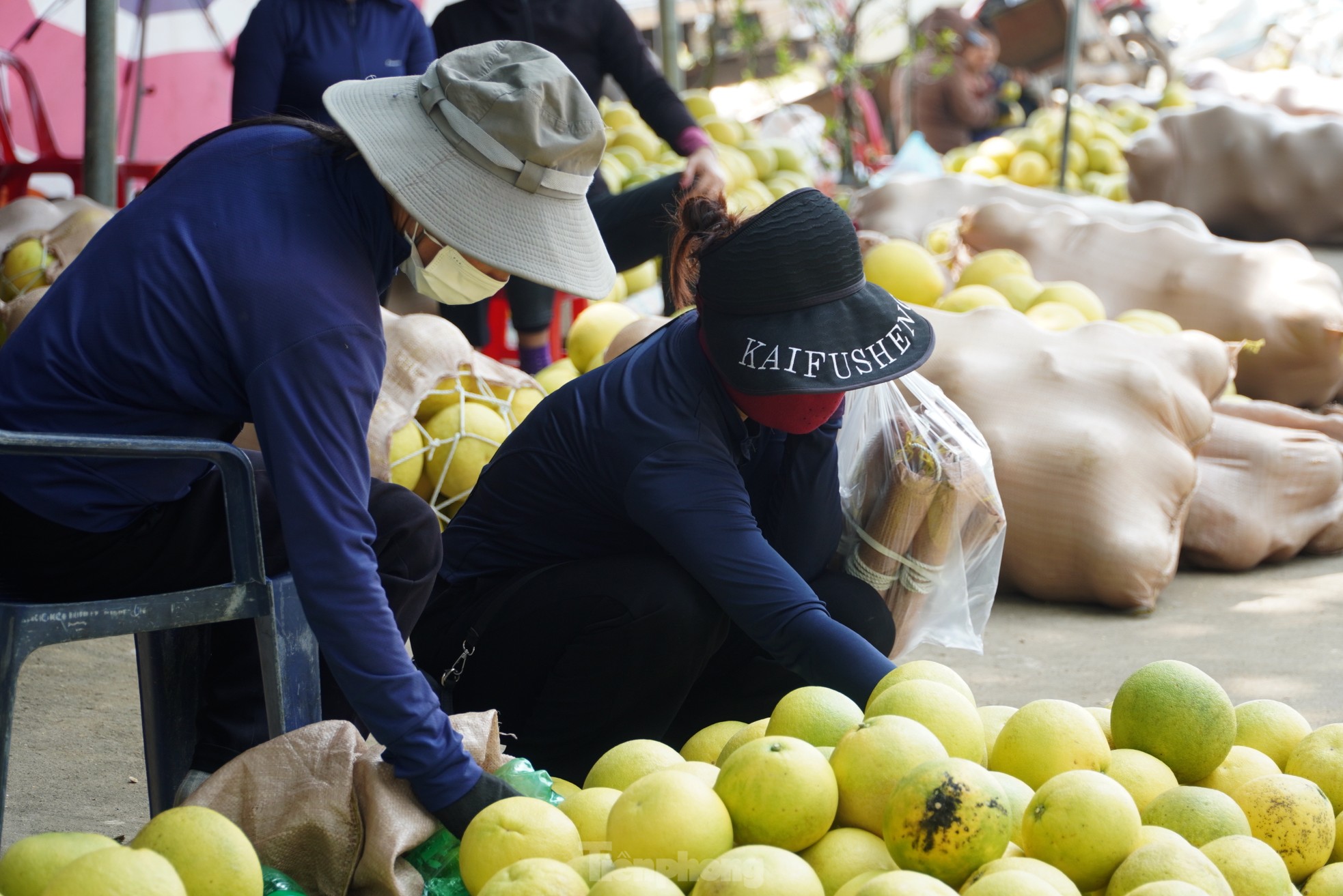 Độc đáo phiên chợ 'đệ nhất danh quả' nức tiếng Hà Tĩnh - Ảnh 4
