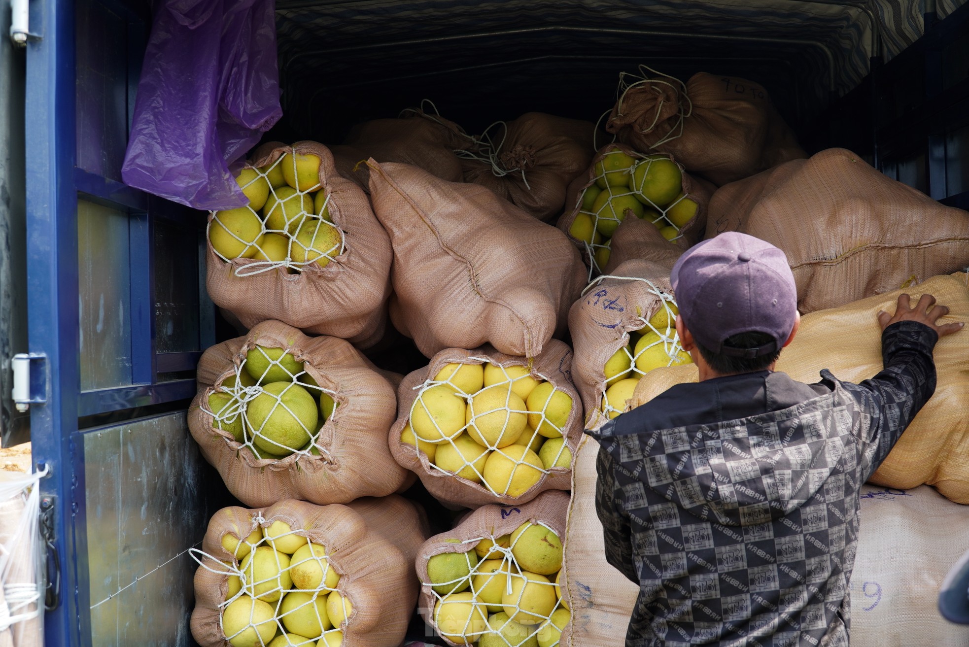 Độc đáo phiên chợ 'đệ nhất danh quả' nức tiếng Hà Tĩnh - Ảnh 2