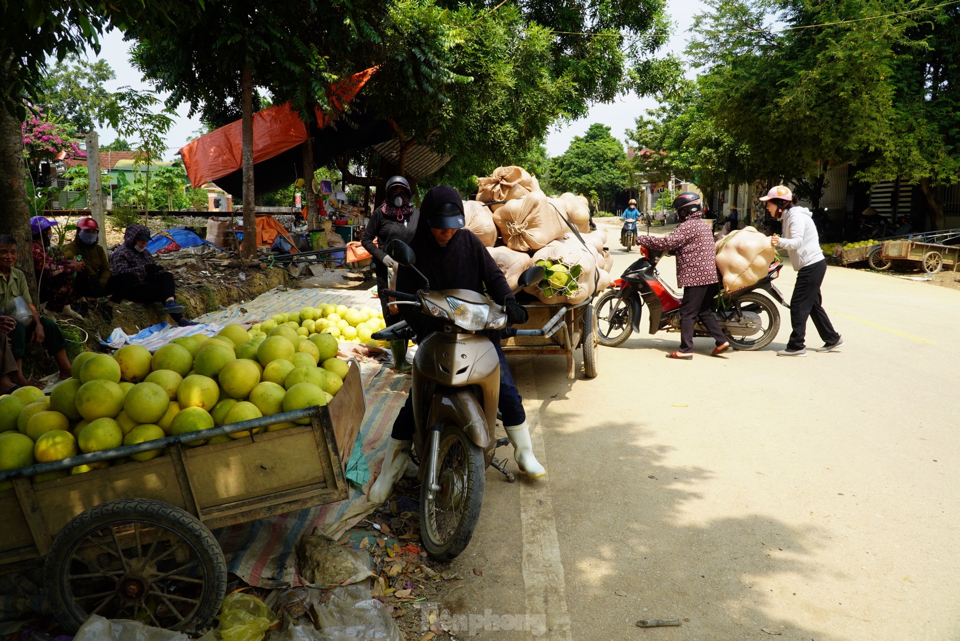 Độc đáo phiên chợ 'đệ nhất danh quả' nức tiếng Hà Tĩnh - Ảnh 9
