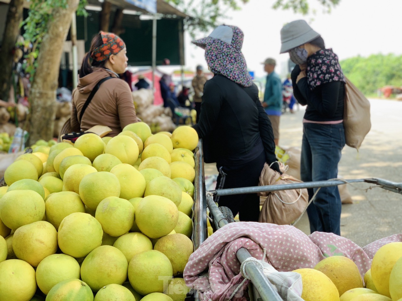 Độc đáo phiên chợ 'đệ nhất danh quả' nức tiếng Hà Tĩnh - Ảnh 10
