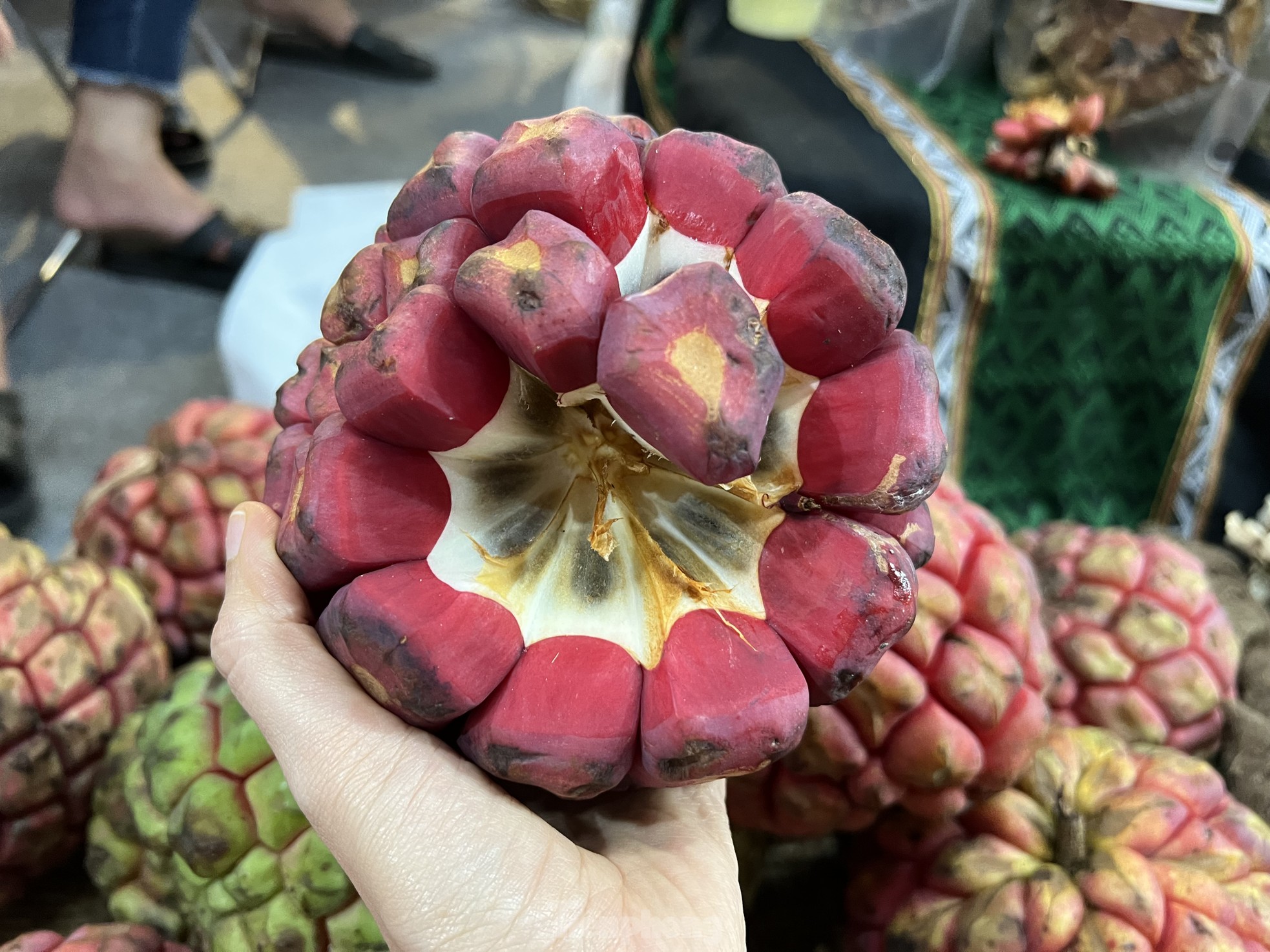 Bất ngờ na khổng lồ giá 200.000 đồng/quả - Ảnh 1