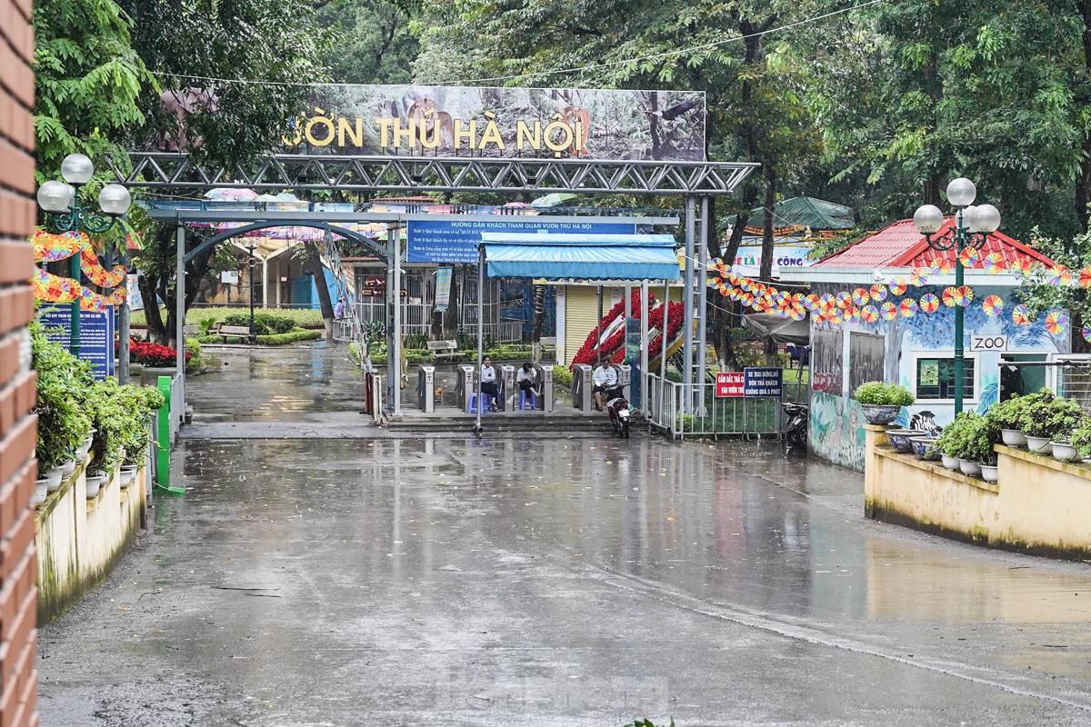 Hà Nội đường phố vắng vẻ, người dân tranh thủ đi chợ, siêu thị mua đồ ăn - Ảnh 10