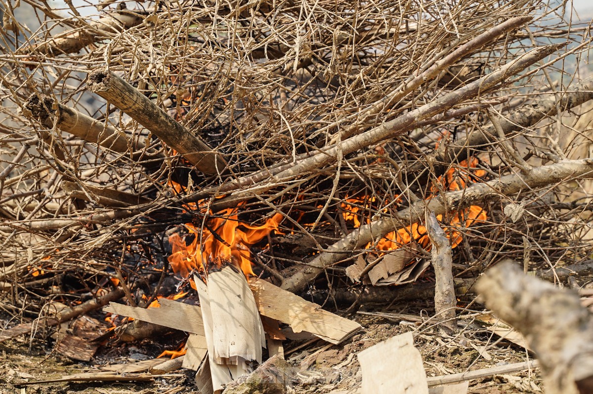Người dân khóc nghẹn khi đốt từng gốc cây, nỗ lực 'hồi sinh' làng đào Nhật Tân sau bão lũ - Ảnh 9