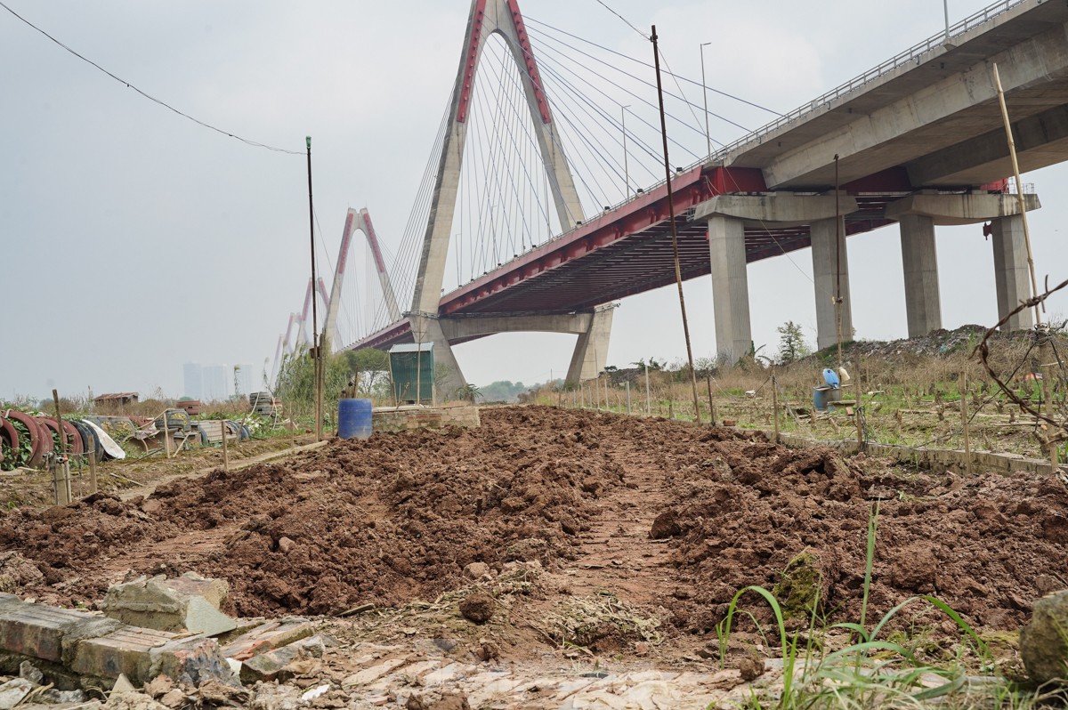 Người dân khóc nghẹn khi đốt từng gốc cây, nỗ lực 'hồi sinh' làng đào Nhật Tân sau bão lũ - Ảnh 15