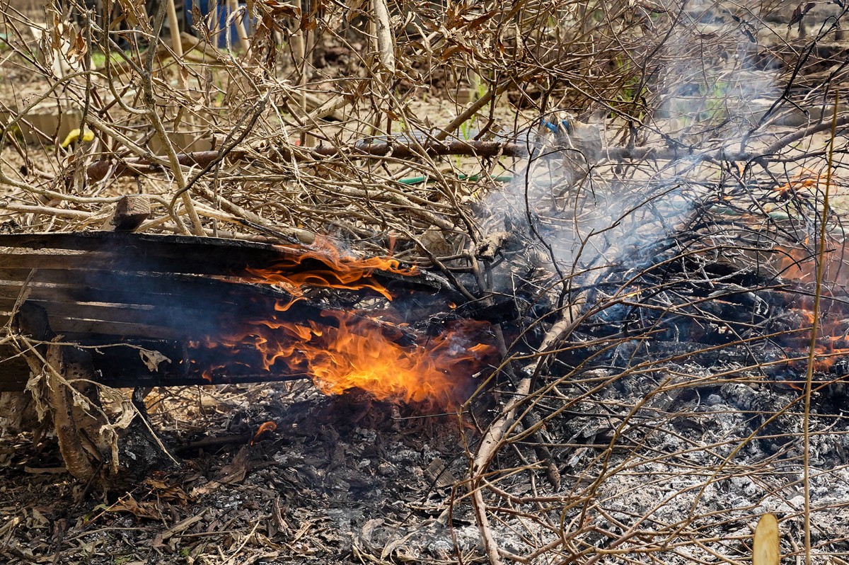 Người dân khóc nghẹn khi đốt từng gốc cây, nỗ lực 'hồi sinh' làng đào Nhật Tân sau bão lũ - Ảnh 5