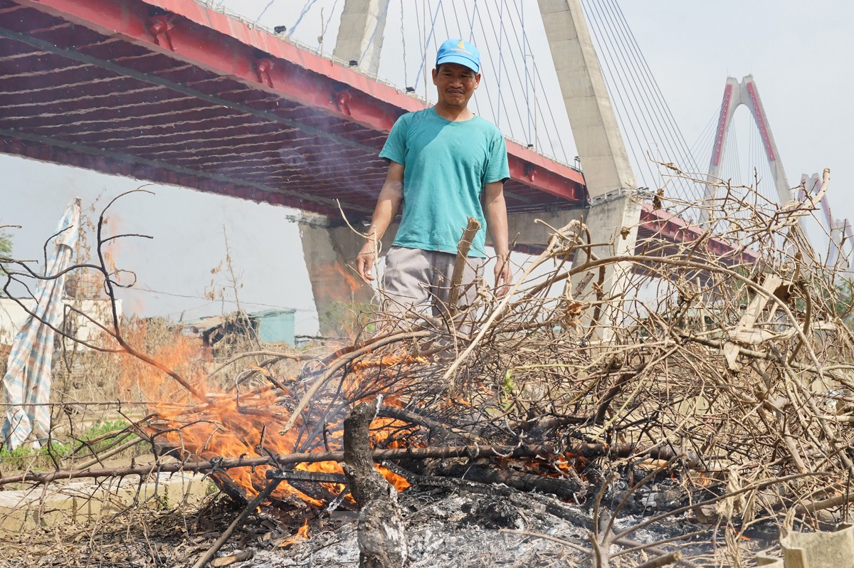 Người dân khóc nghẹn khi đốt từng gốc cây, nỗ lực 'hồi sinh' làng đào Nhật Tân sau bão lũ - Ảnh 3