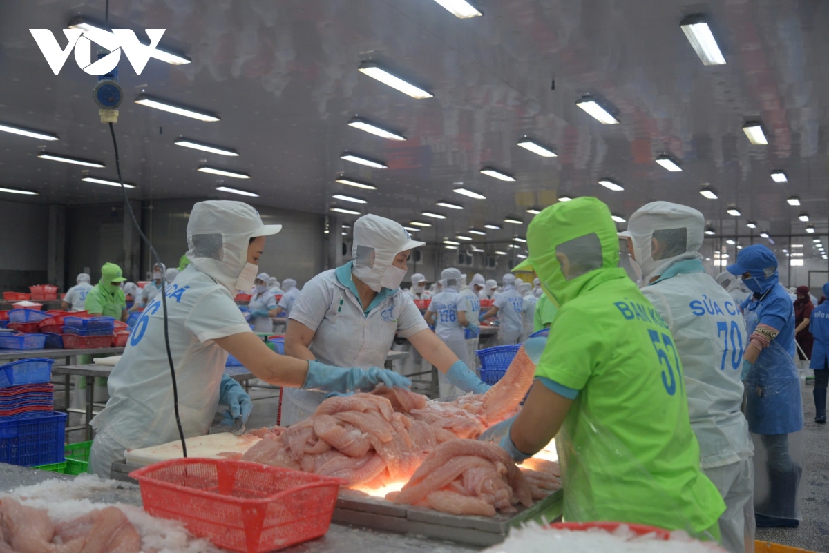 Việt Nam sắp đón đoàn kiểm tra của EU trong lĩnh vực nuôi trồng thủy sản - Ảnh 1