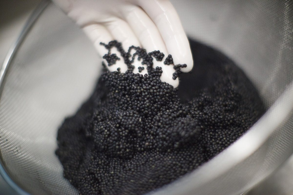 Một kho vàng mới nổi của Việt Nam được cả thế giới săn lùng, ngon không kém hàng Nhật: xuất khẩu tăng khủng hơn 3.000%, giá gần nửa triệu/kg vẫn cháy hàng - Ảnh 1