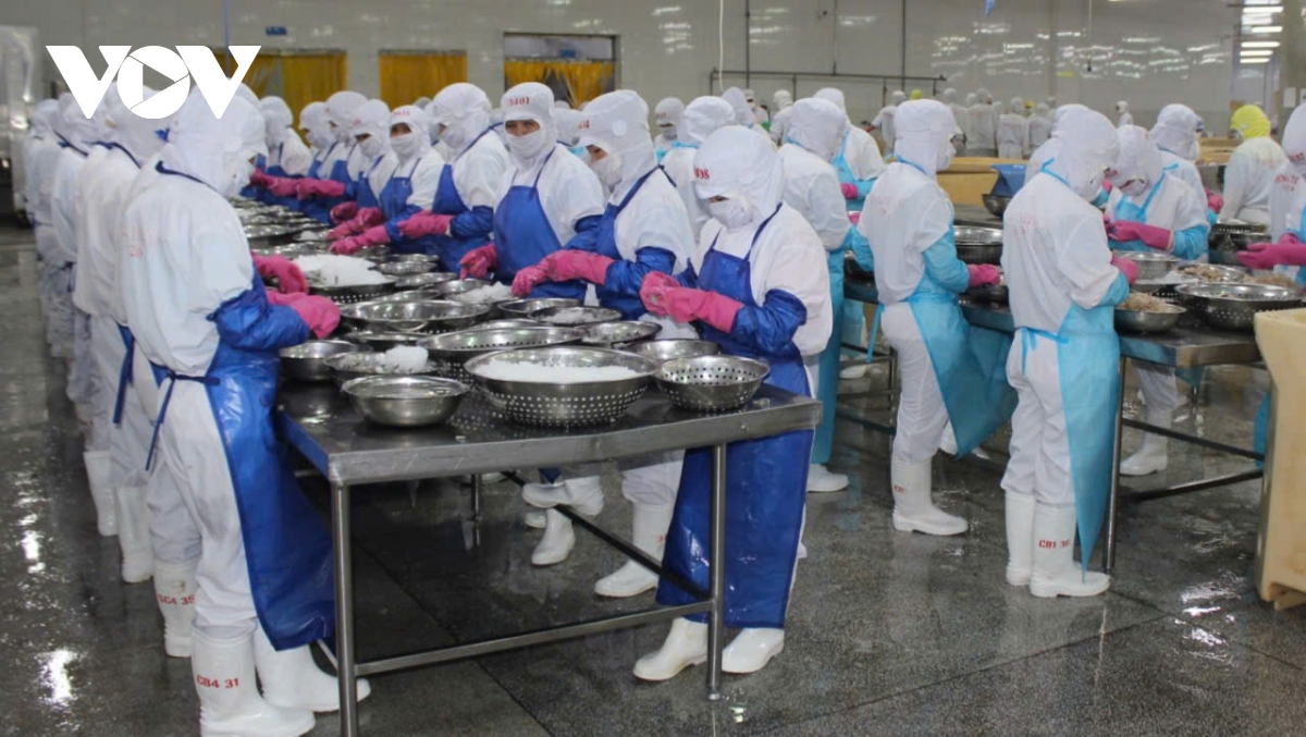 Bị tàn phá nặng nề do bão, ngành thủy sản tìm cách đạt mục tiêu 9,5 tỷ USD - Ảnh 1