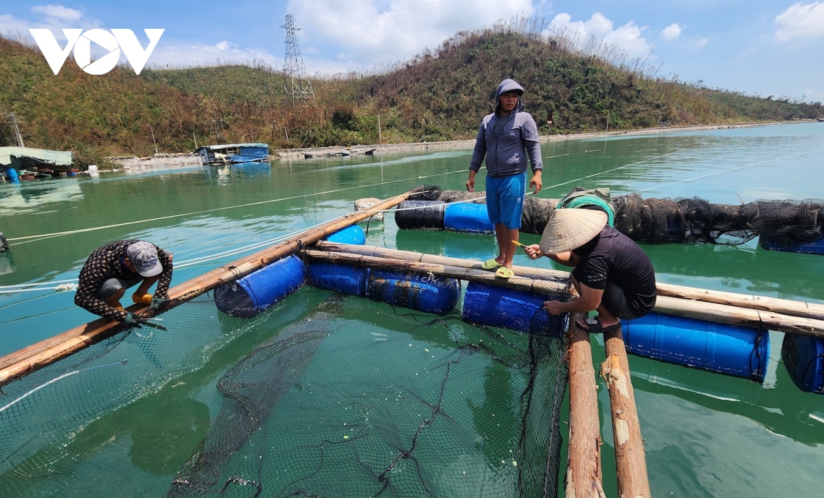 Người nuôi trồng thủy hải sản Vân Đồn làm lại từ con số không - Ảnh 1