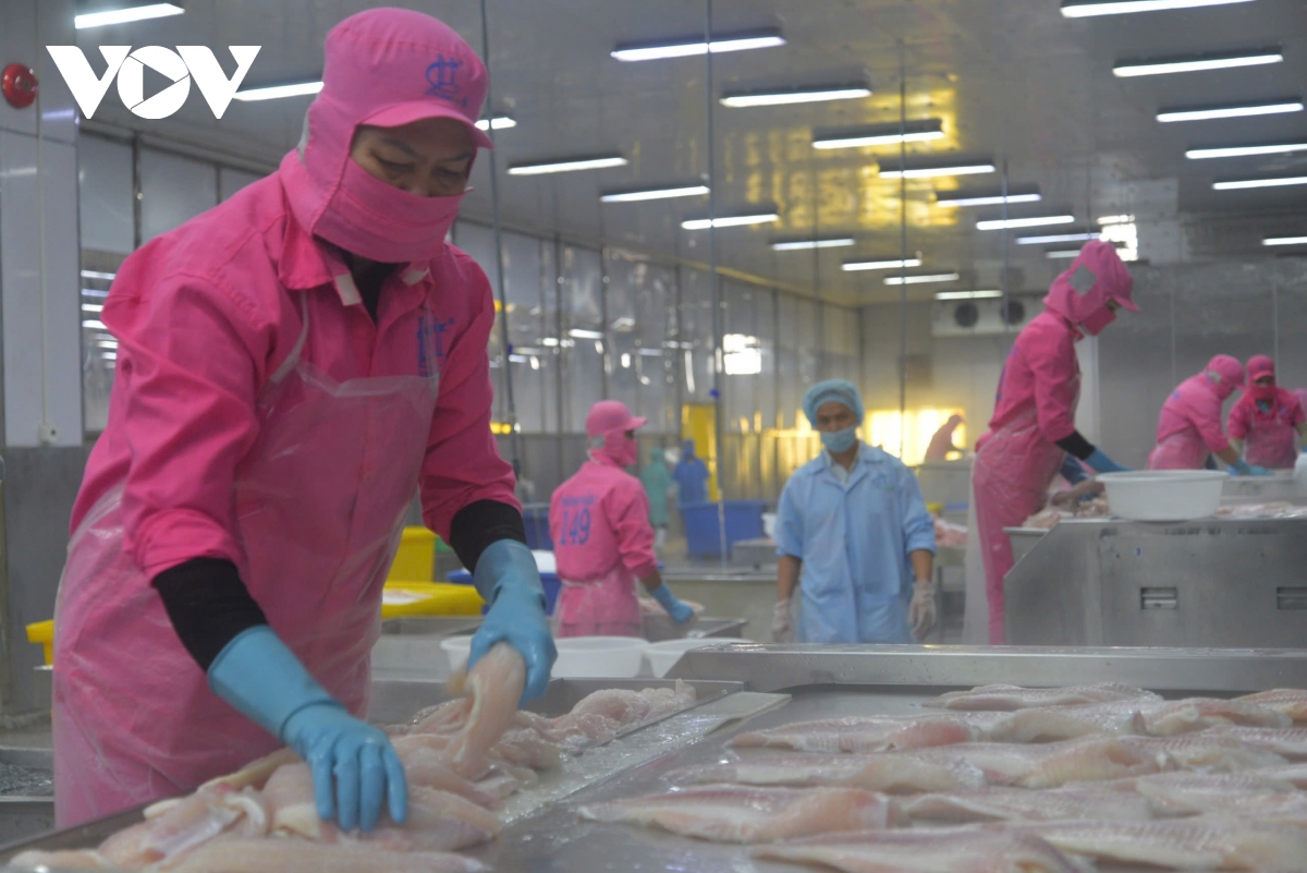 Việt Nam sắp đón đoàn kiểm tra của EU trong lĩnh vực nuôi trồng thủy sản - Ảnh 2