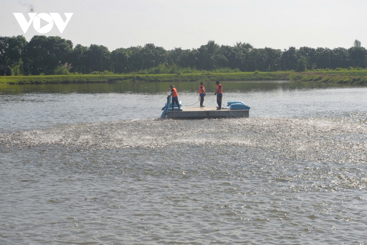 Việt Nam sắp đón đoàn kiểm tra của EU trong lĩnh vực nuôi trồng thủy sản - Ảnh 3
