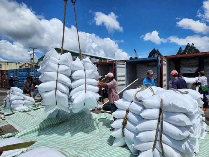 Cuối năm, xuất khẩu gạo Việt Nam có tái lập kỷ lục 8 triệu tấn? - Ảnh 1