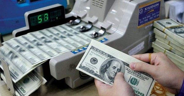 Giá USD hôm nay 6/9: Tỷ giá ngân hàng đồng loạt "rớt" mạnh, mất mốc 25.000 VND/USD